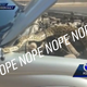 Illustration for article titled Freakin 7-Foot Python Pops Out From Under The Hood Of A Truck